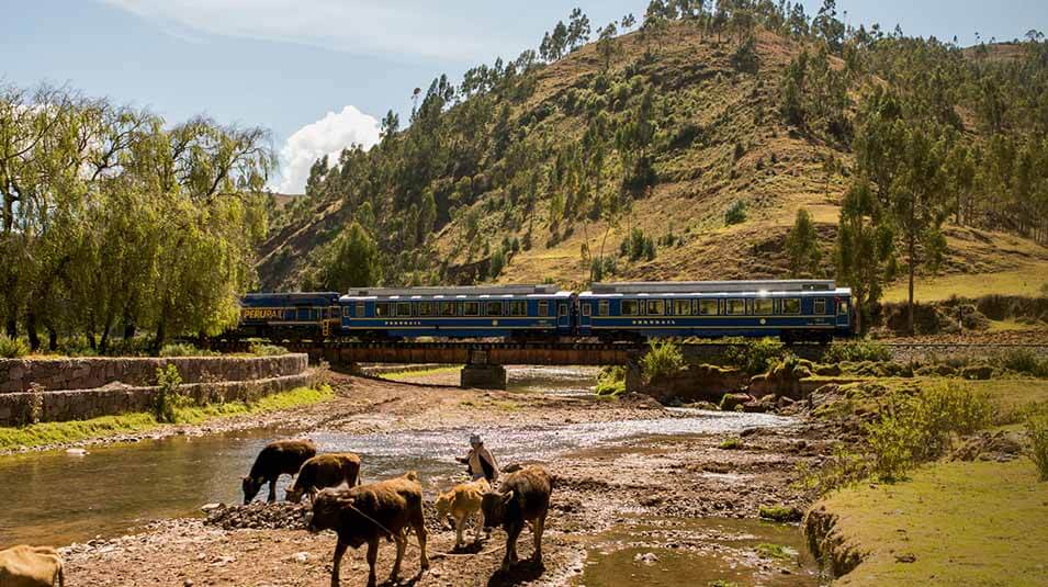Tren Vistadome recorriendo el paisaje del Valle Sagrado